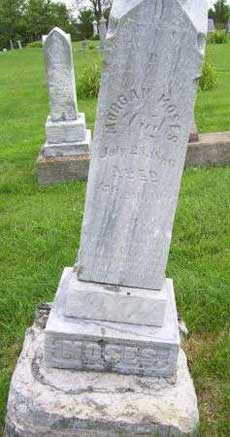 Morgan Moses gravestone at Fry Hill Cemetary, Lucas, Illinois