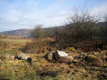 Remains of Wern Goch Llanwynno
